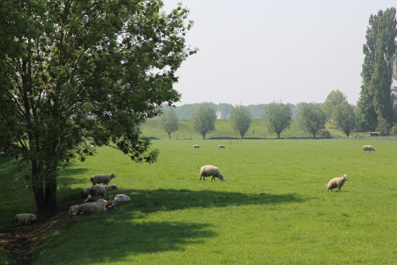 B&B Buitenwaard Oosterhout  Exteriér fotografie