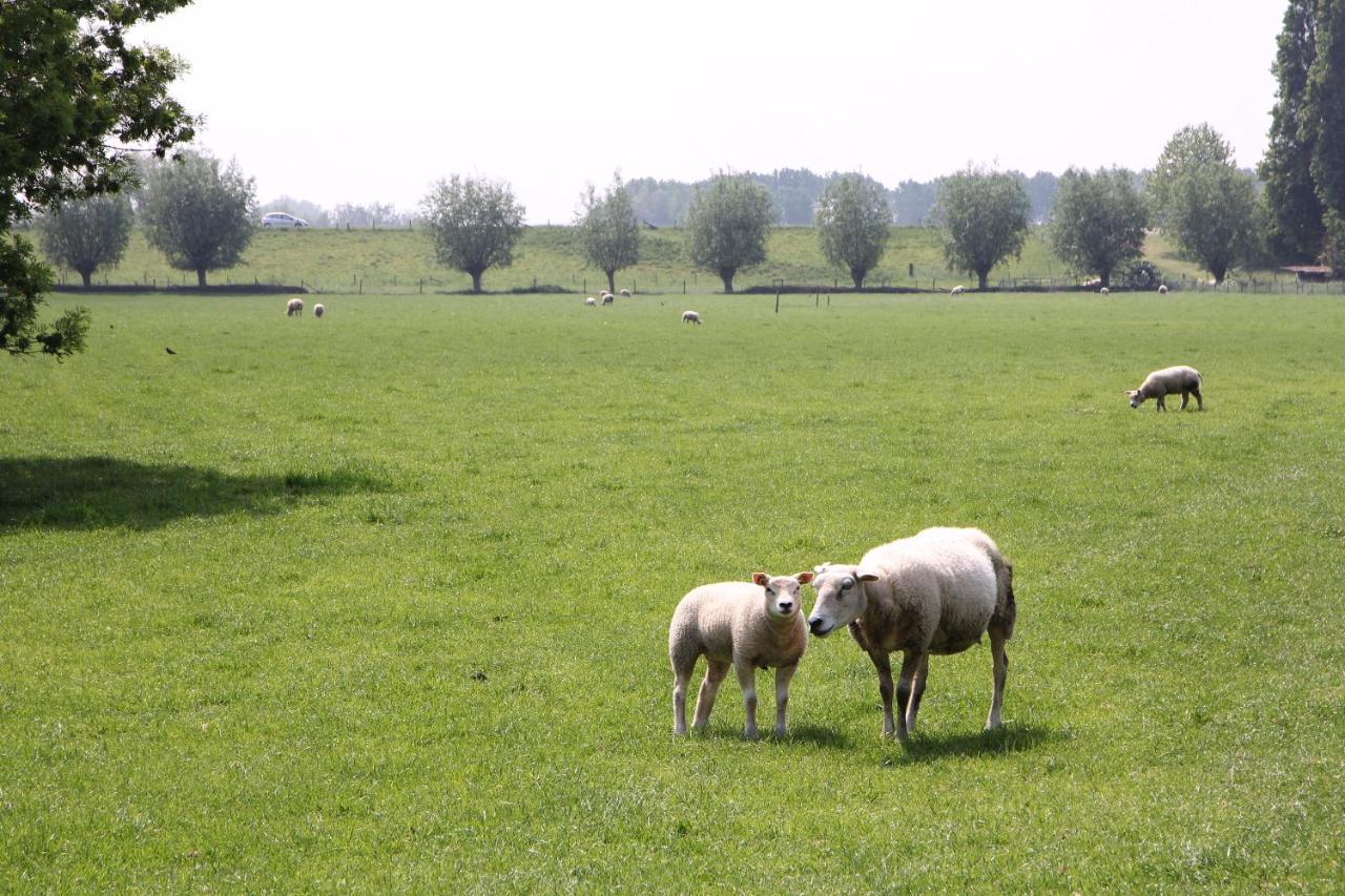 B&B Buitenwaard Oosterhout  Exteriér fotografie